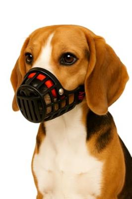 FLAMINGO Museli&egrave;re silas s noir. 26 cm 31-41 cm. pour chien. 