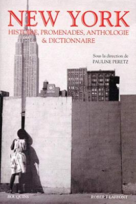 New York - Histoires, Promenades Anthologie Et Dictionnaire