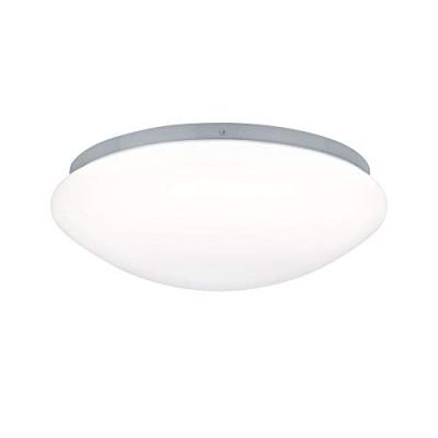 PAULMANN Plafonnier leonis led - blanc - 9,5w - 4000k - ip44 - avec ampoule