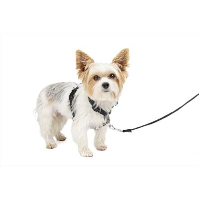 PETSAFE  Harnais Easywalk 3 En 1 - Taille Xs - Noir - Pour Chien