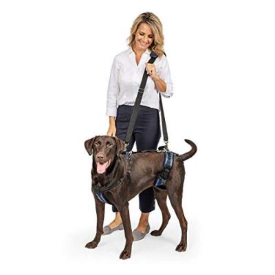 PETSAFE Harnais de levage CareLift&trade; : large