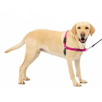 Easy Walk Harnais L - Framboise - Pour Chien
