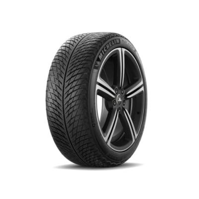 MICHELIN  Pilot Alpin 5 ( 275/35 R20 102W XL )