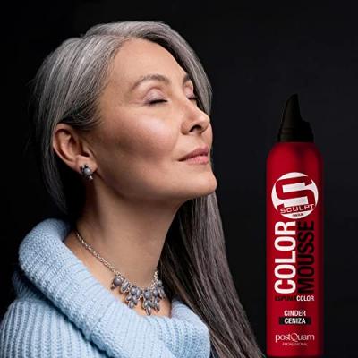 POSTQUAM  Mousse Fixatrice de Couleur Cendre - Couleur Temporaire, 300 ML