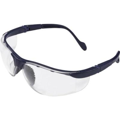 BANYO Protectionworld - Lunettes de protection Eagle Eye + 3 2012006 - noir