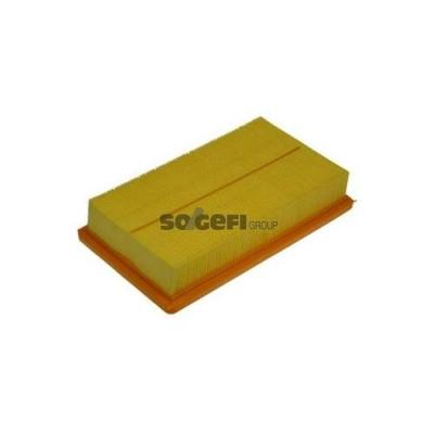 PURFLUX Filtre a  air  A1116 (X1)