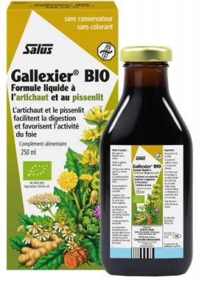 SALUS Gallexier Bio Artichaut-Pissenlit