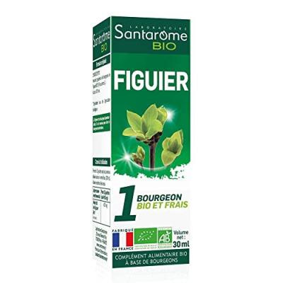 SANTAROME  Bio Figuier Bourgeons Bio et Frais U52