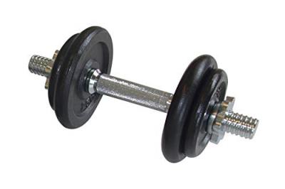 SCHILDKROT FITNESS Accessoire de fitness Schildkrot Kit d'halteres 10 kg noir