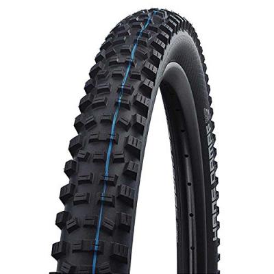 SCHWALBE Pneu VTT  Hans Dampf Evo Super Trail - 29"" SpeedGrip 2.6