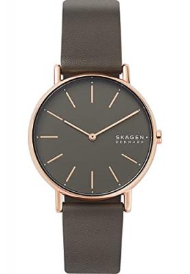 SKAGEN Montre Femme Signatur Gris SKW2794 Marron 