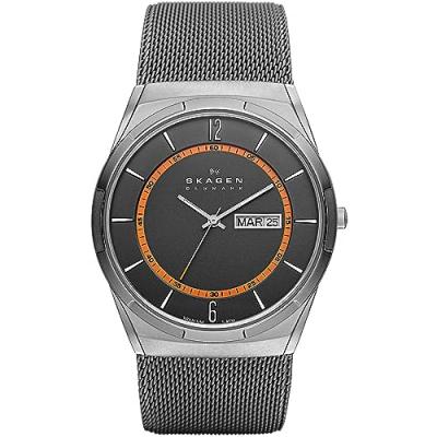 SKAGEN  Montre Homme SKW6007 Gris 