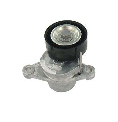 SKF Poulie-tendeur courroie trap&eacute;zo&iuml;dale &agrave; nervures VKM 33062 