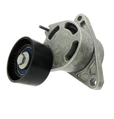 SKF Poulie-tendeur courroie trap&eacute;zo&iuml;dale &agrave; nervures VKM 36041 