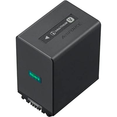 SONY   Batterie Infolithium NP-FV100A2