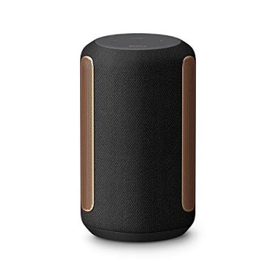 SONY   SRS-RA3000 Noir cosmos 