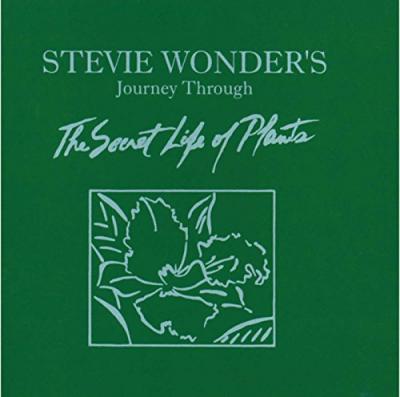 Stevie Wonder's Journey through the Secret Life of Plants Vol. 1