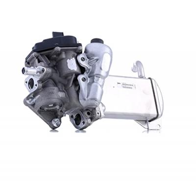 VALEO Module-EGR ORIGINAL PART 700438 