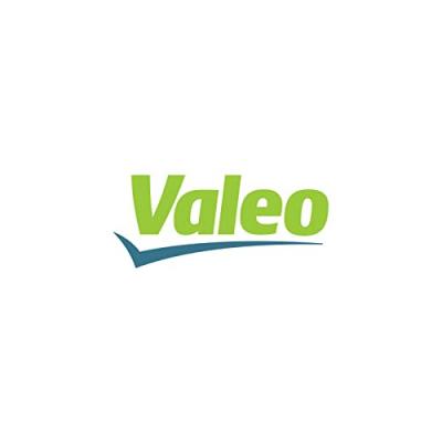 VALEO Volant moteur  836043 d'origine