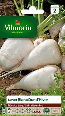 VILMORIN  3703242 Pack de Graines Navet Dur d'Hiver Blanc