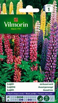 VILMORIN  5345741 Lupin de Russel varie, Multicolore, 90 x 2 x 160 cm