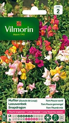 VILMORIN Graines de Muflier Tom Pouce Vari&eacute; (Geule de Loup) 