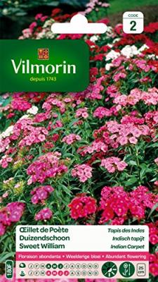VILMORIN  5437442 &OElig;illet, Multicolore, 90 x 2 x 160 cm