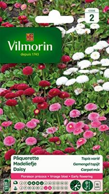 VILMORIN  5448242 P&acirc;querette, Multicolore, 90 x 2 x 160 cm