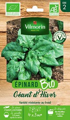 VILMORIN Epinard g&eacute;ant d hiver bio 
