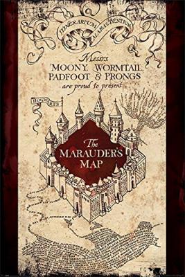  Pyramid International HARRY POTTER - Poster 61x91 - The Marauders Map
