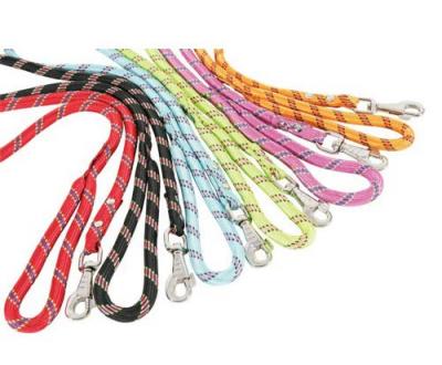 ZOLUX Laisse Nylon Pour Chien Corde Turquoise 2 M