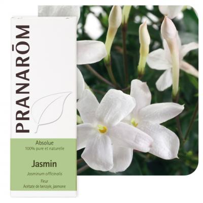 PRANAROM Jasmin (Absolue) - Jasminum Officinalis 5 Ml - Pranar&ocirc;m