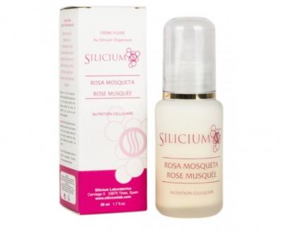SILICIUM  de l'&eacute;glantier 50ml