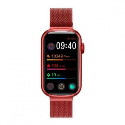 SMARTY2.0 Montre connect&eacute;e SMARTY ALLURE SMARTY 2.0 Acier inoxydable Rouge 
