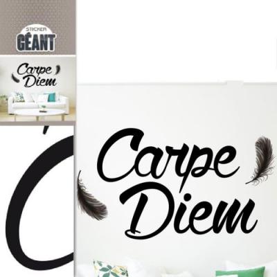  Autocollant Mural G&eacute;ant 150 x 85 cm Carpe Diem