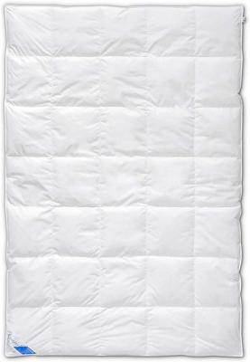 PAS DE MARQUE B&ouml;hmerwald 309600-20 Couette &agrave; cassettes Hauteur 2,5 cm 155 x 220 cm