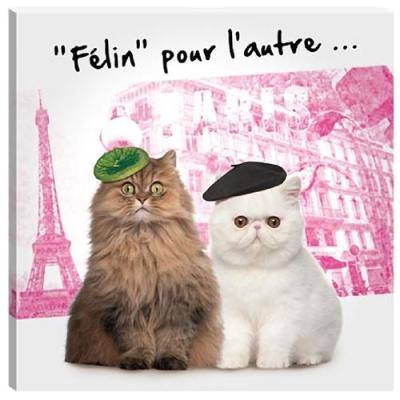 LE MONDE DES ANIMAUX  - Cadre en toile chats