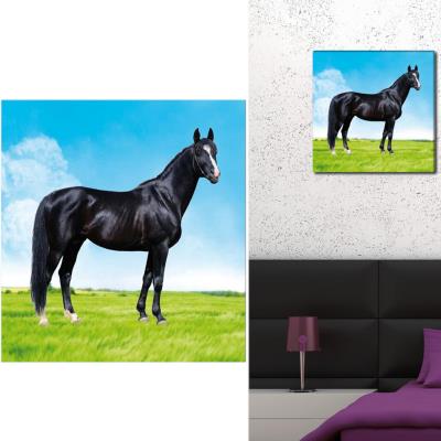 L UNIVERS DU CHEVAL L'univers Du Cheval - Cadre Toile Cheval