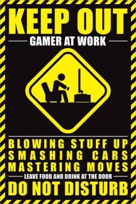 GENERIQUE Maxi Poster 61 x 91,5 cm Gamer At Work