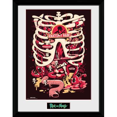 GB EYE Abystyle RICK AND MORTY - Tirage encadr&eacute; "Parc d'Anatomie" (30x40) -
