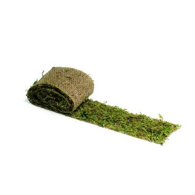 G&eacute;n&eacute;rique Ruban DE Table Mousse V&Eacute;G&Eacute;TALE Jute 10CMX2M Vert