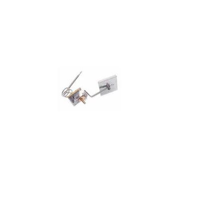 SCHOLTES Thermostat Damper Atea D1081(450nf) Pour Refrigerateur  - C00095873