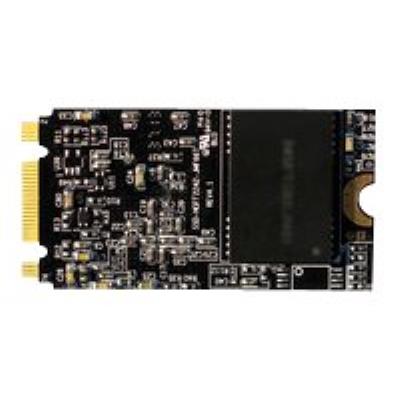 COREPARTS  - Disque SSD - 256 Go - interne - M.2 2242 - M.2 Card - m&eacute;moire tampon : 256 Mo