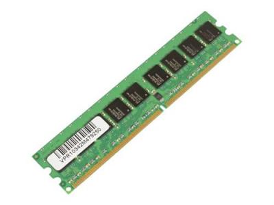MICRO MEMORY MicroMemory 2GB DDR2 533Mhz ECC