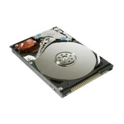 MICROSTORAGE  - disque dur - 40 Go - IDE
