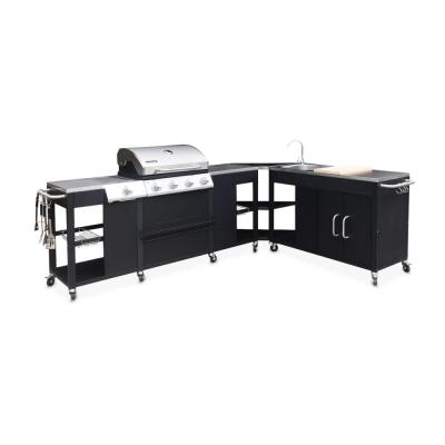 Barbecue au gaz 5 br&ucirc;leurs avec cuisine &eacute;quip&eacute;e