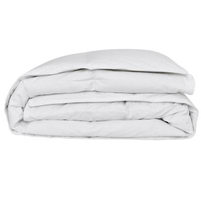 ESSIX Couette l&eacute;g&egrave;re en percale de coton C&eacute;leste