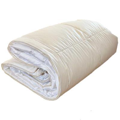 CASTEX COUETTES NATURELLES CASTEX Couette fine anti transpiration 260x240 cm Duvet Canard