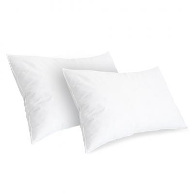 BELLECOUR Lot de 2 oreillers 45x70 Duvet & Plumes Mi-ferme
