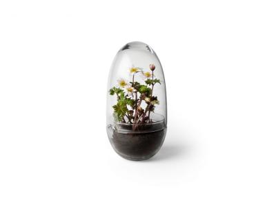 Mini-serre Grow Verre fait &agrave; la main transparent L